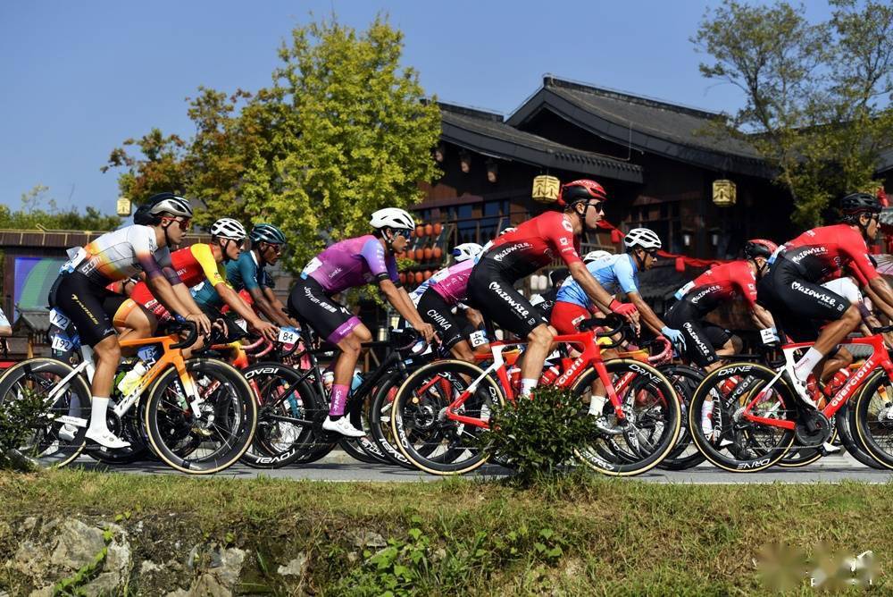 特色山地越野自行车赛,穿越林海峡谷的速度盛宴的简单介绍 特色山地越野自行车赛,穿越林海峡谷的速度盛宴的简单介绍