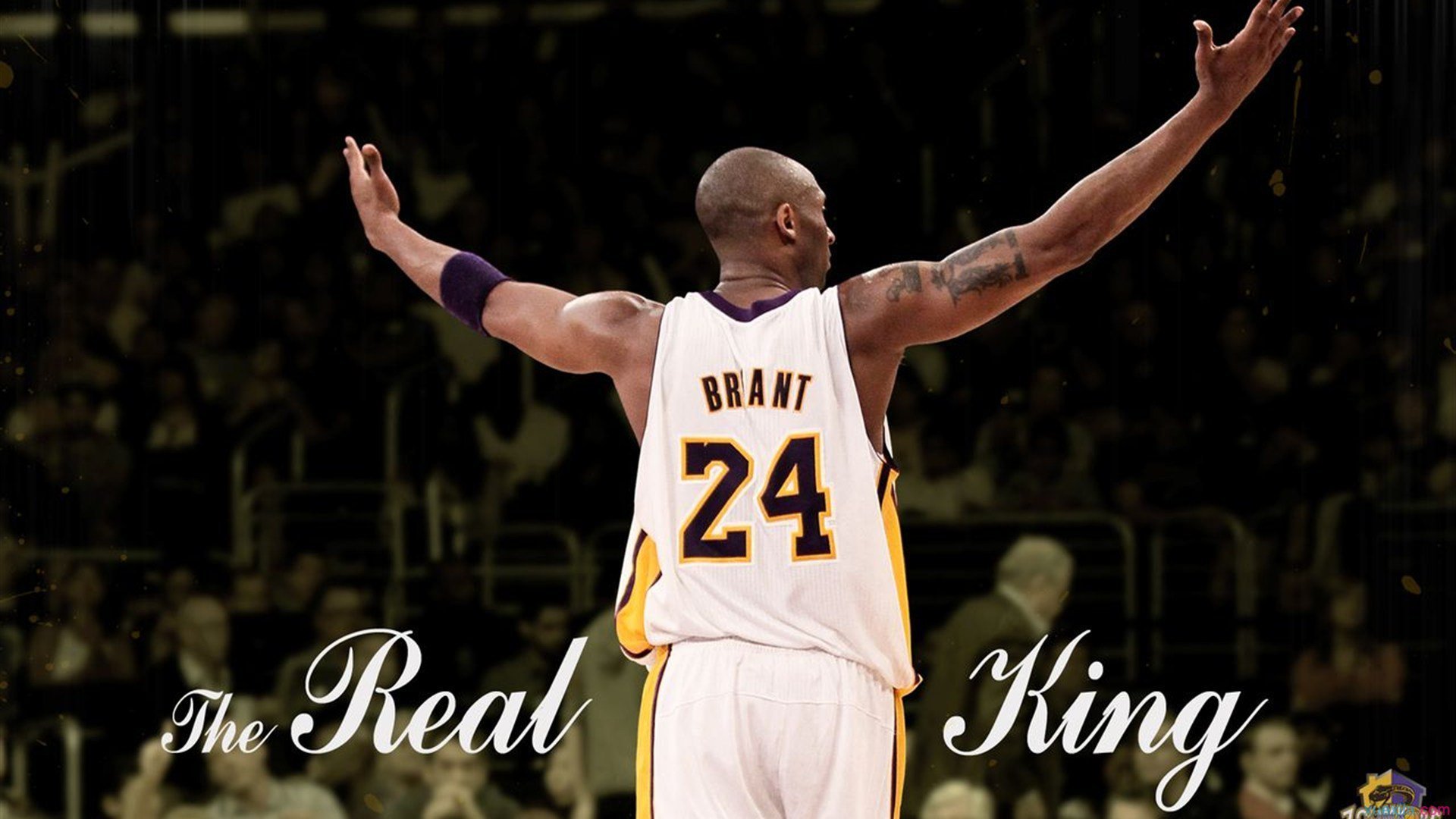 _湖人迎来反弹,逐步走出低谷_,湖人遭逆转