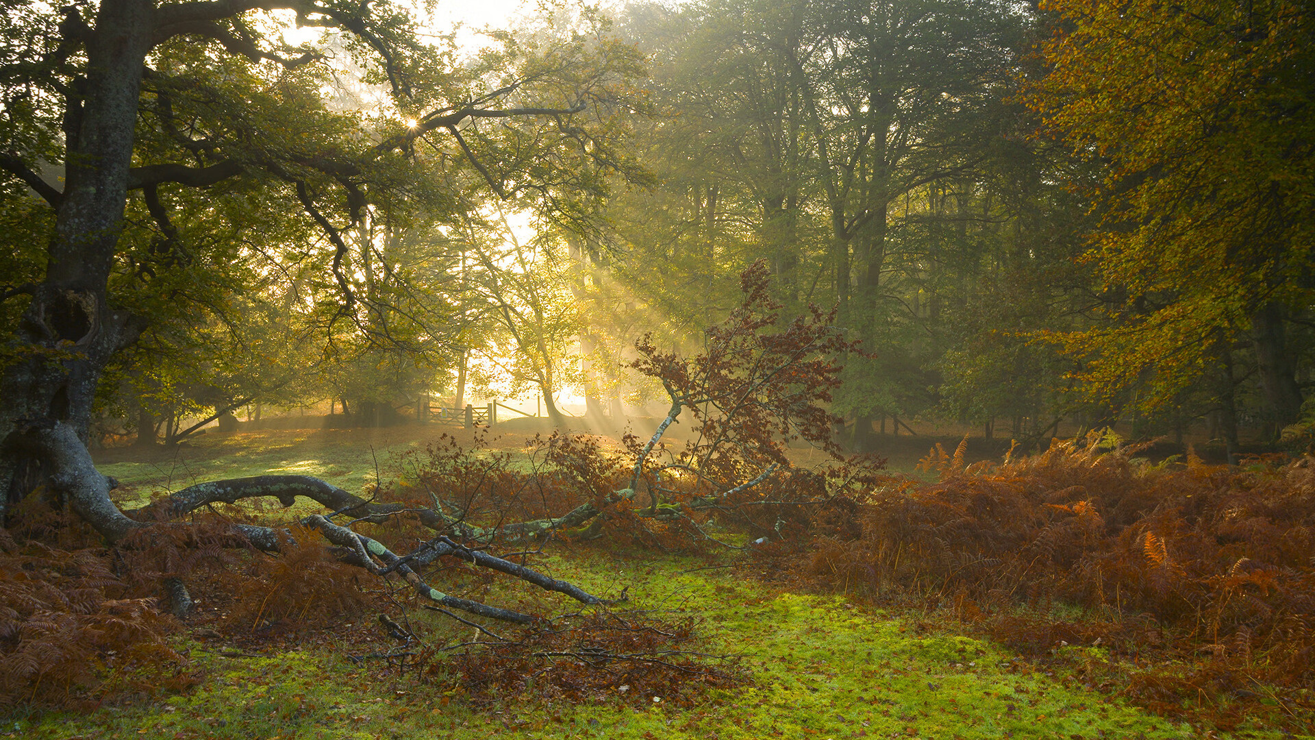 leyu乐鱼官网登录入口-“中超豪门战略合作，推动联赛品牌国际化”，中超公司官网