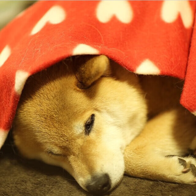 “绝杀三分:联盟史上最经典的终极投篮”,nba绝杀三分