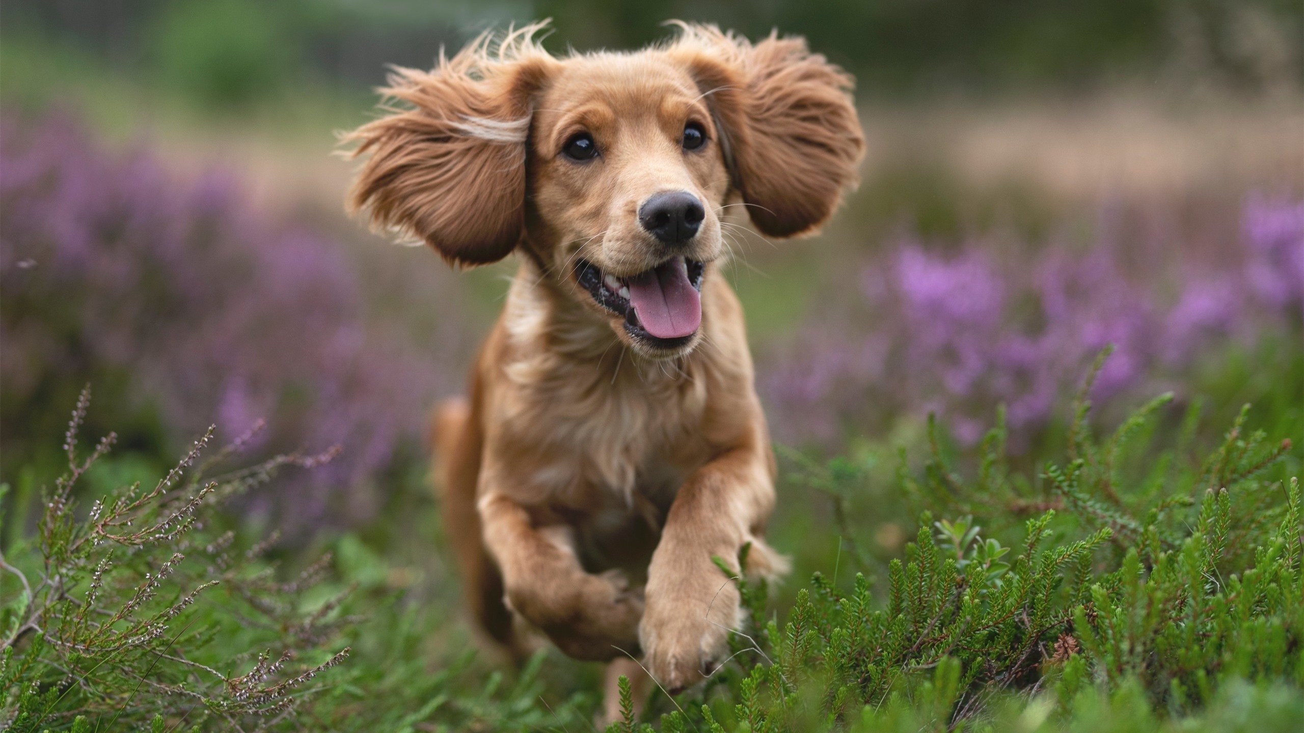 【经典瞬间】丁俊晖逆转取胜的战术全盘点,丁俊晖打法改变