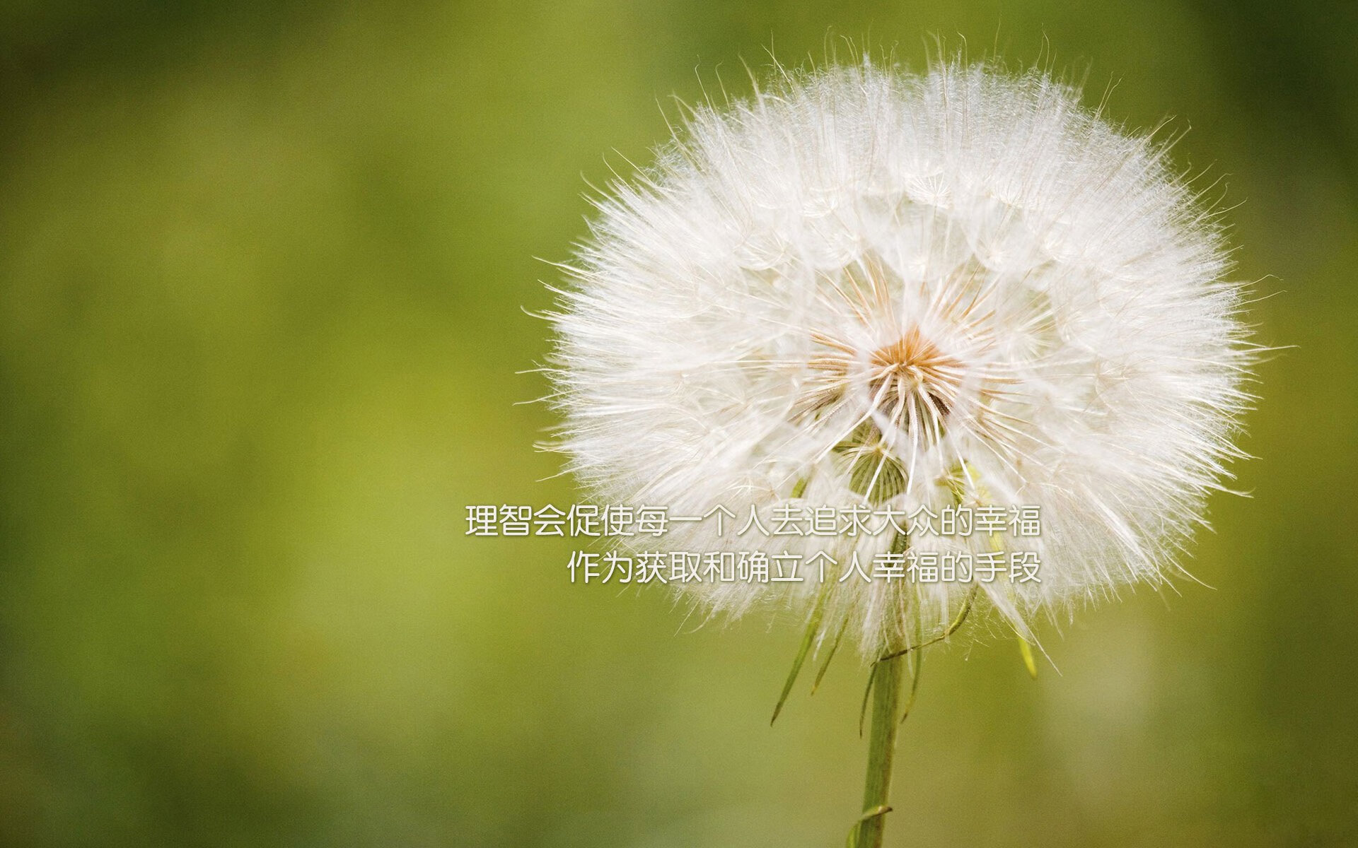 乌拉圭队在巴黎奥运会比赛中多次通过中路渗透得分乌拉圭队在巴黎奥运会比赛中展现出快速反击战术