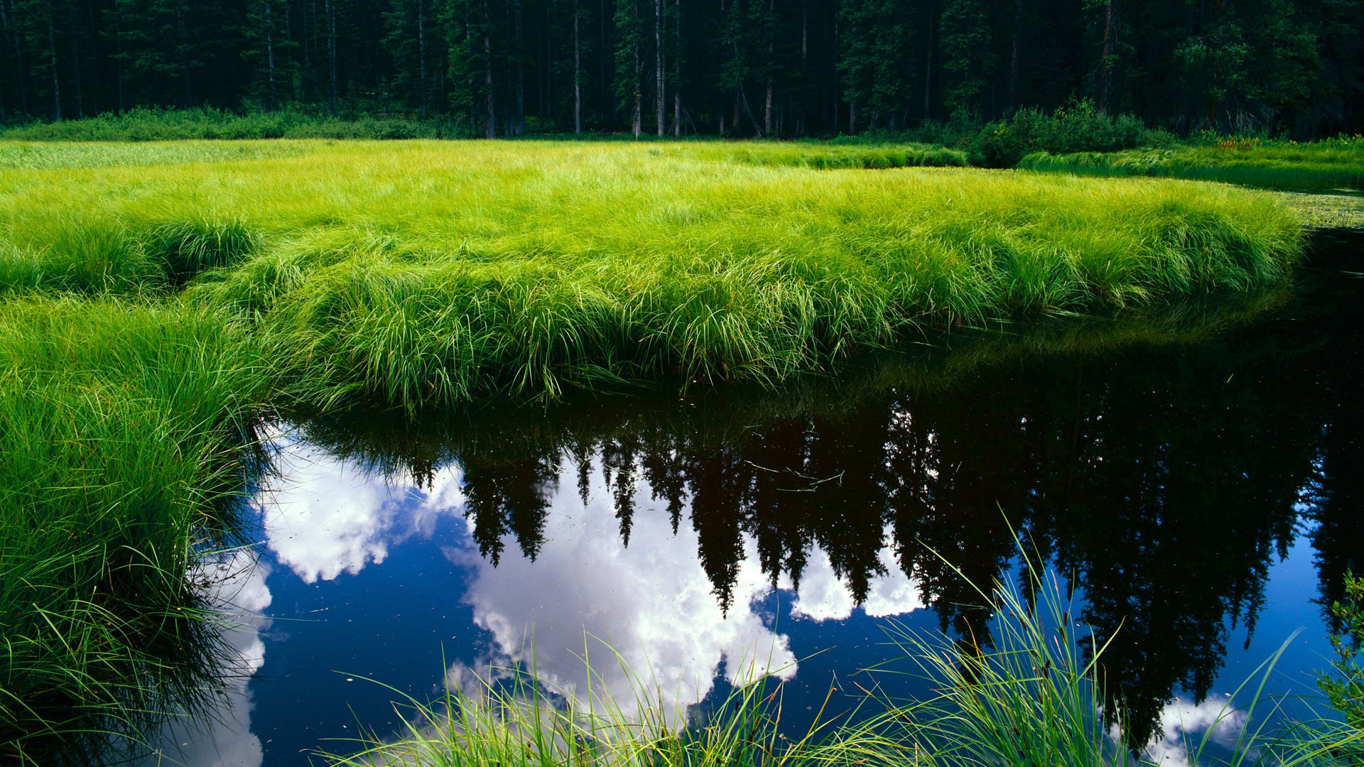 乐鱼娱乐app-乌拉圭队在巴黎奥运会比赛中展现出快速反击战术，乌拉圭足球奥运会