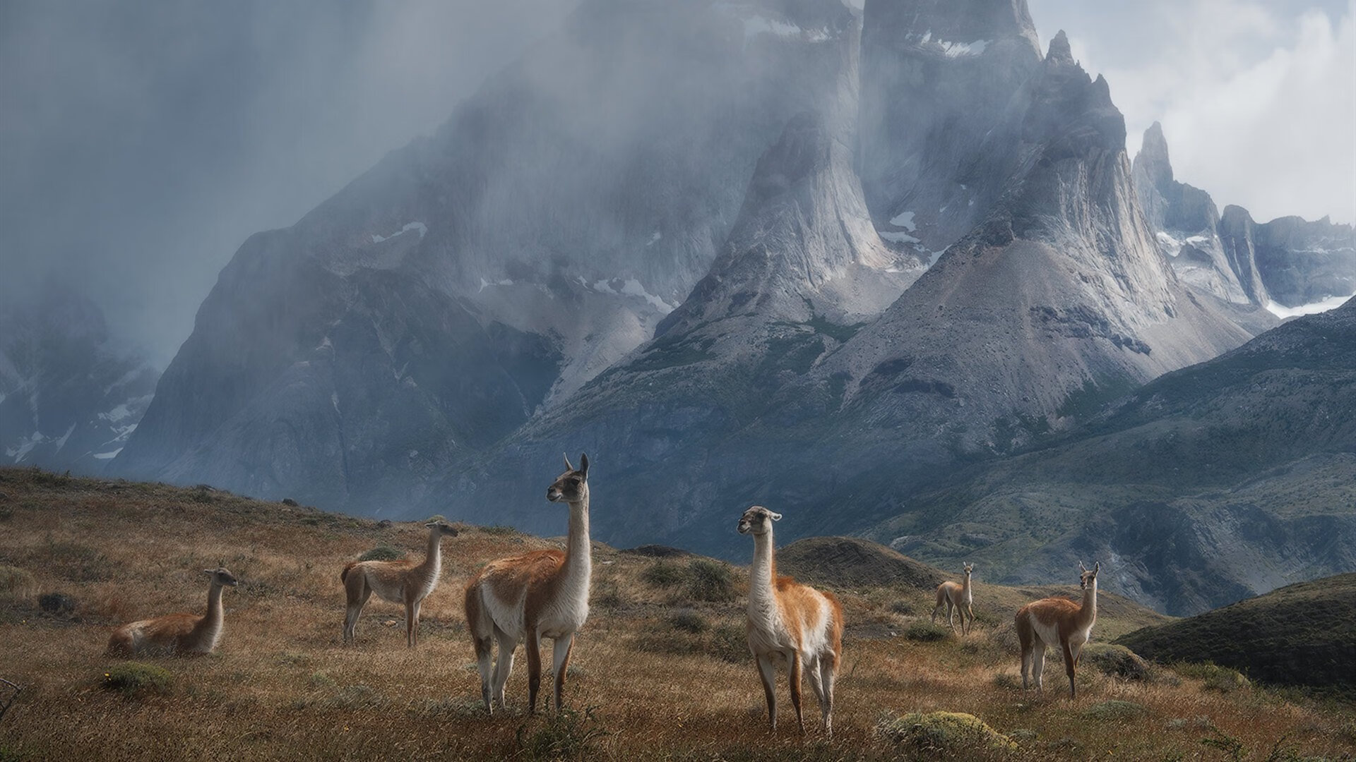 全国青少年足球真人秀节目热播,行业关注度持续上升,足球综艺节目真人秀