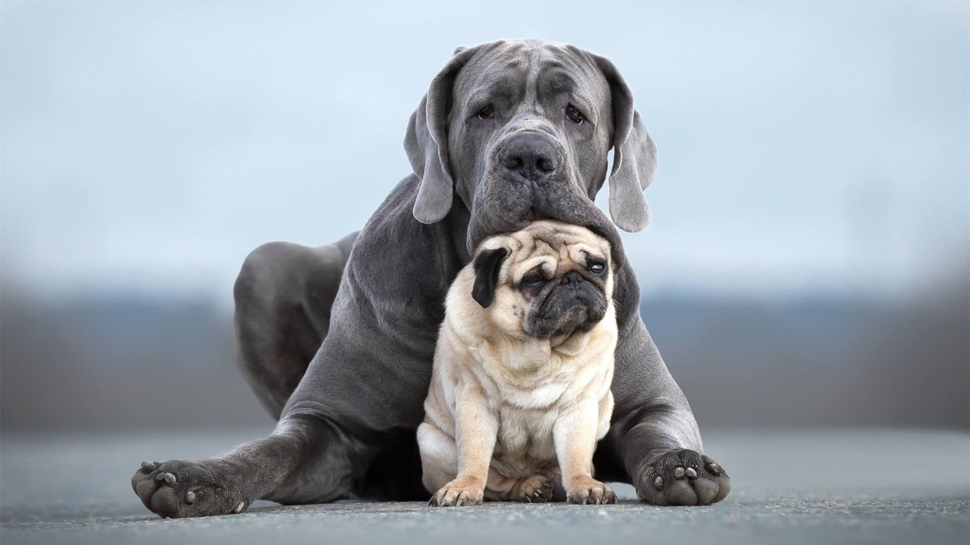 全国青少年足球裁判员“线上+线下”培训体系全面升级,足球裁判报名