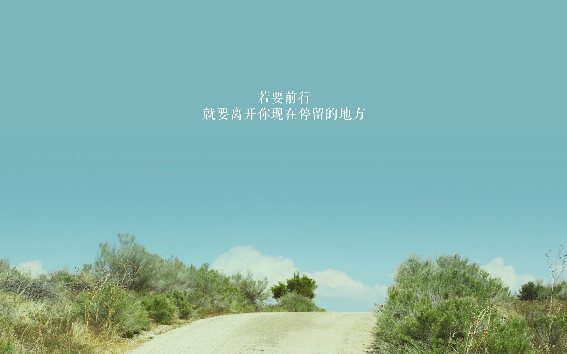 各地足球文化节掀起全民运动新高潮,足球文化节标语