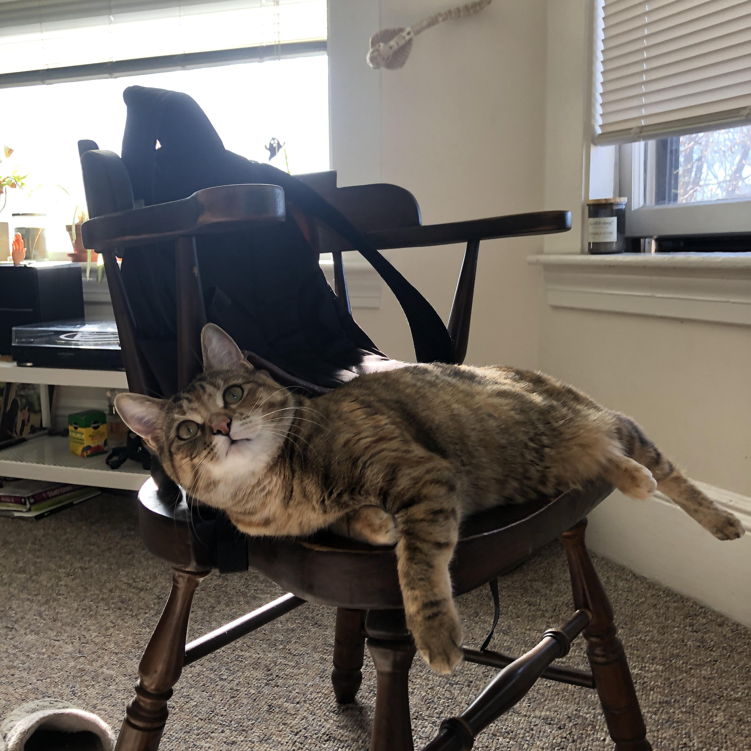 性能优良新型青训装备频出,行业科技创新不断推进,青训品牌