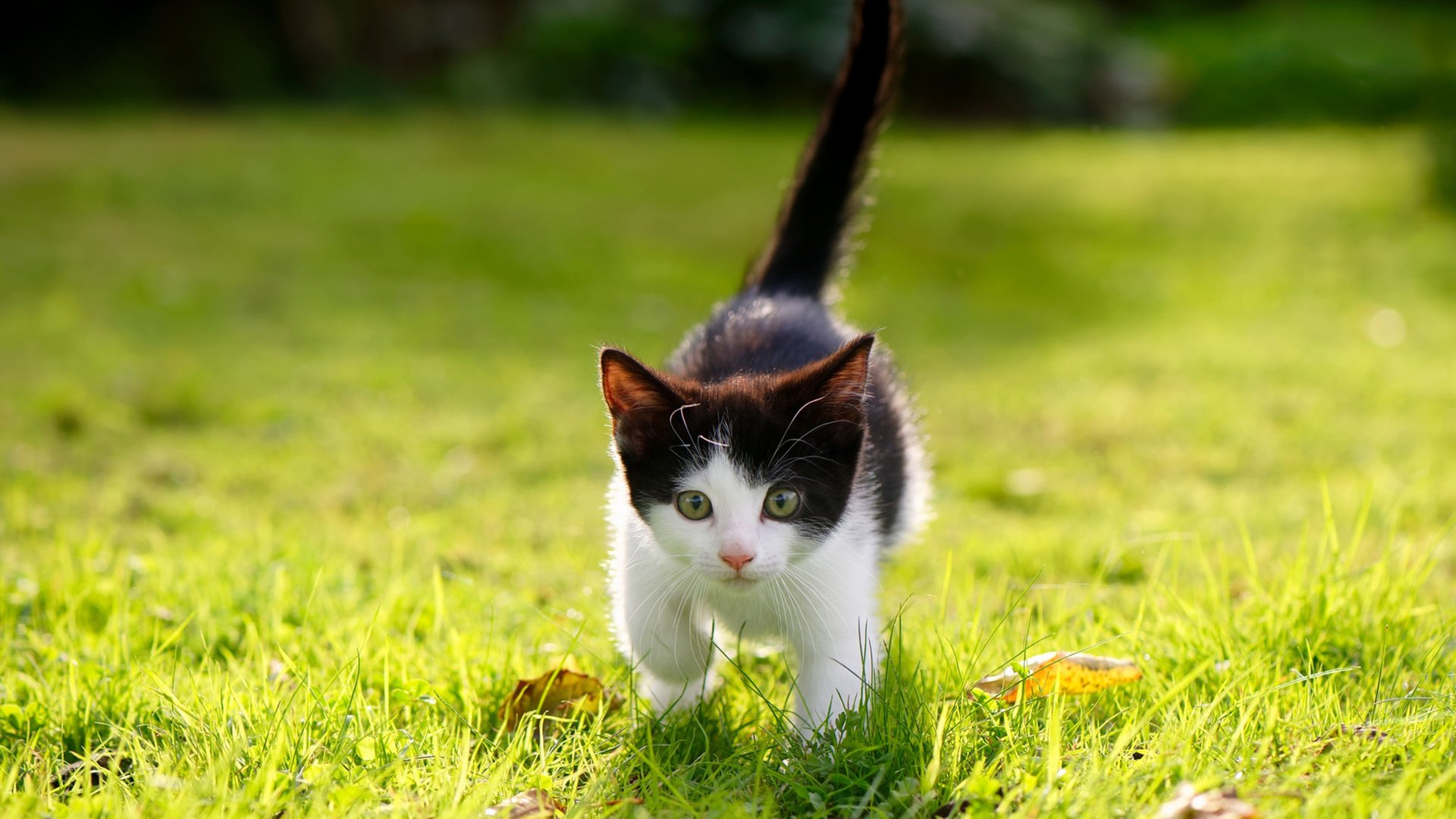 上海海港俱乐部管理层调整,上海海港足球俱乐部_4名新援亮相全力备战新赛季