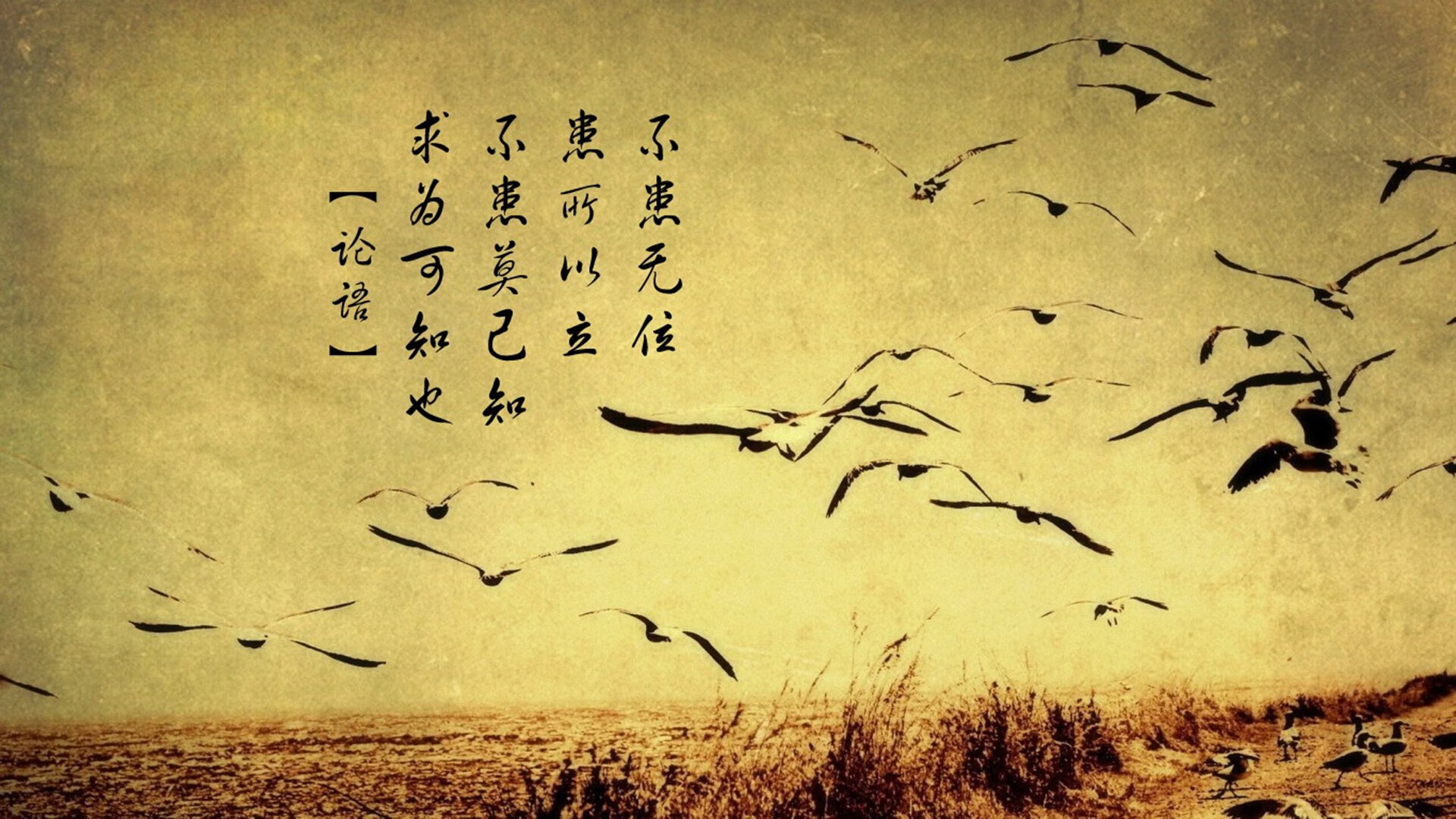 多支球队晋级欧锦赛淘汰赛,战局渐趋激烈,欧锦赛淘汰赛分组