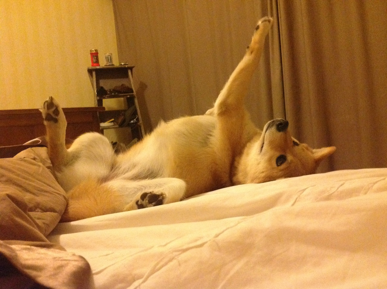 多次射門目標得分,讓球迷熱血沸騰,射门次数最多的球员