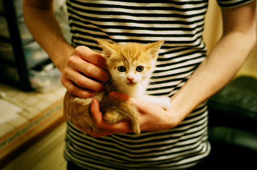 leyu乐鱼-尤文图斯战平曼城：双方各有所长，尤文图斯vs曼联 c罗入球庆祝