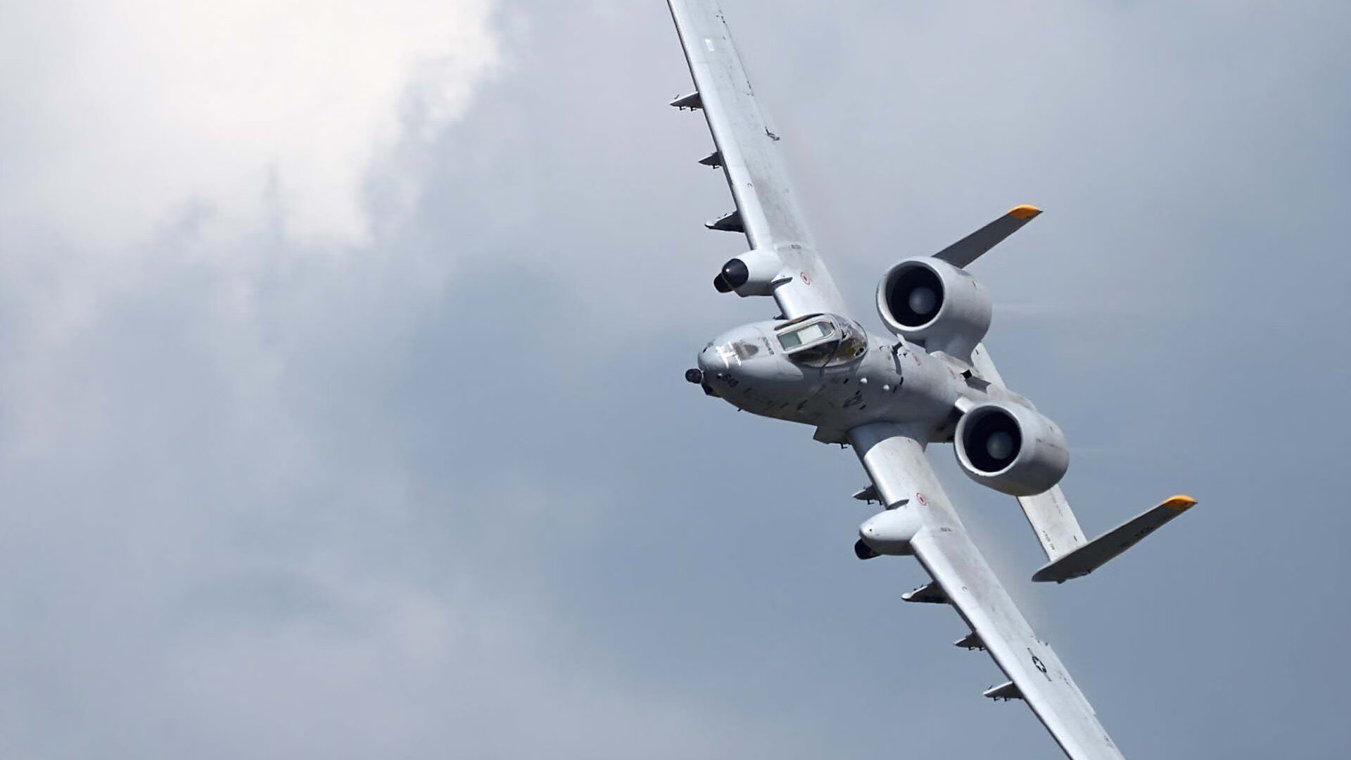 LeyuSports-森林狼球队攻防节奏更加协调，森林狼球队标志