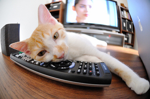 中国篮球教练员战术执行力提升路径分析,中国篮球教练员等级划分标准