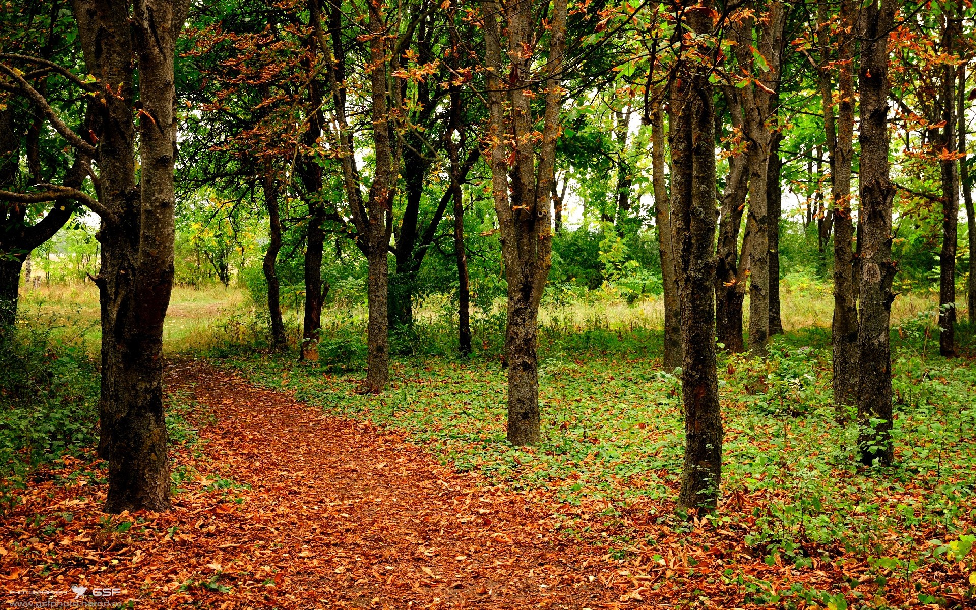 中超版本更新影响深度解读,中超新赛季升降级