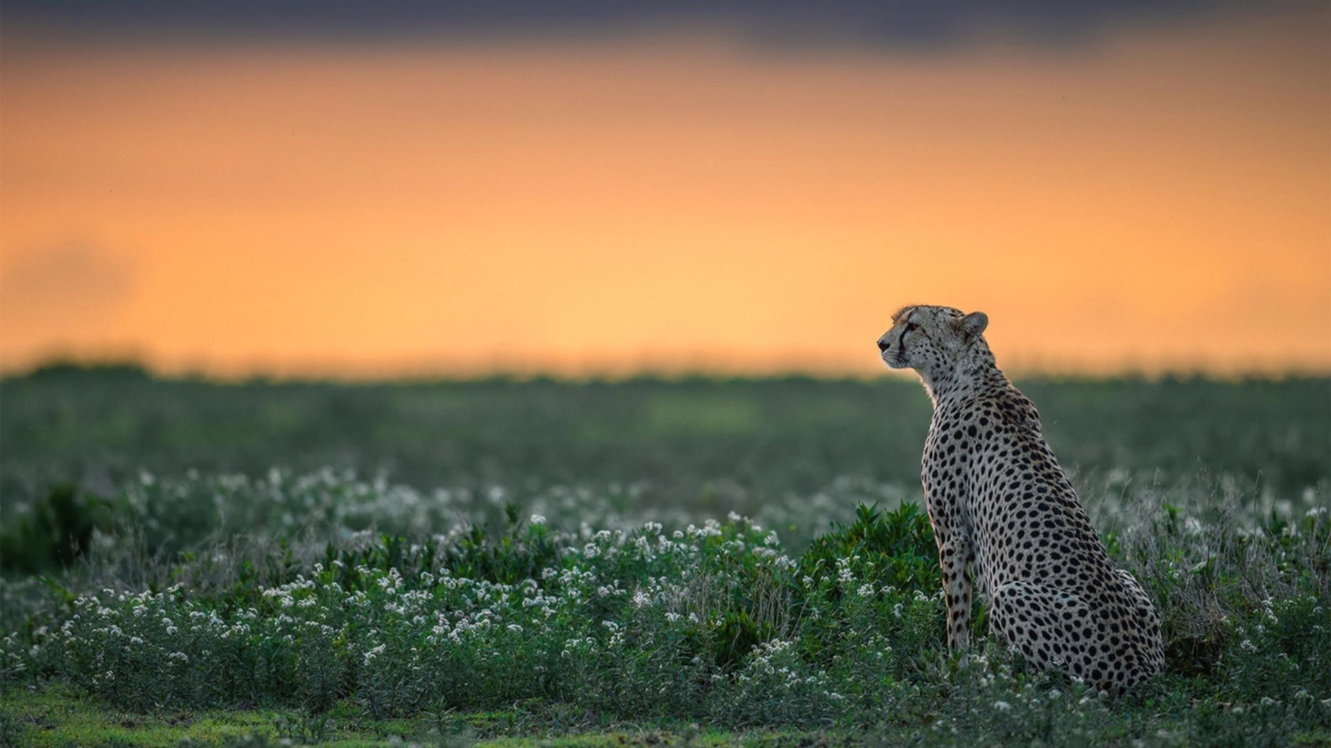 leyu乐鱼官网登录入口-世界杯预选赛国足惨败 球迷呼吁全面改革，世界杯预选赛国足比赛