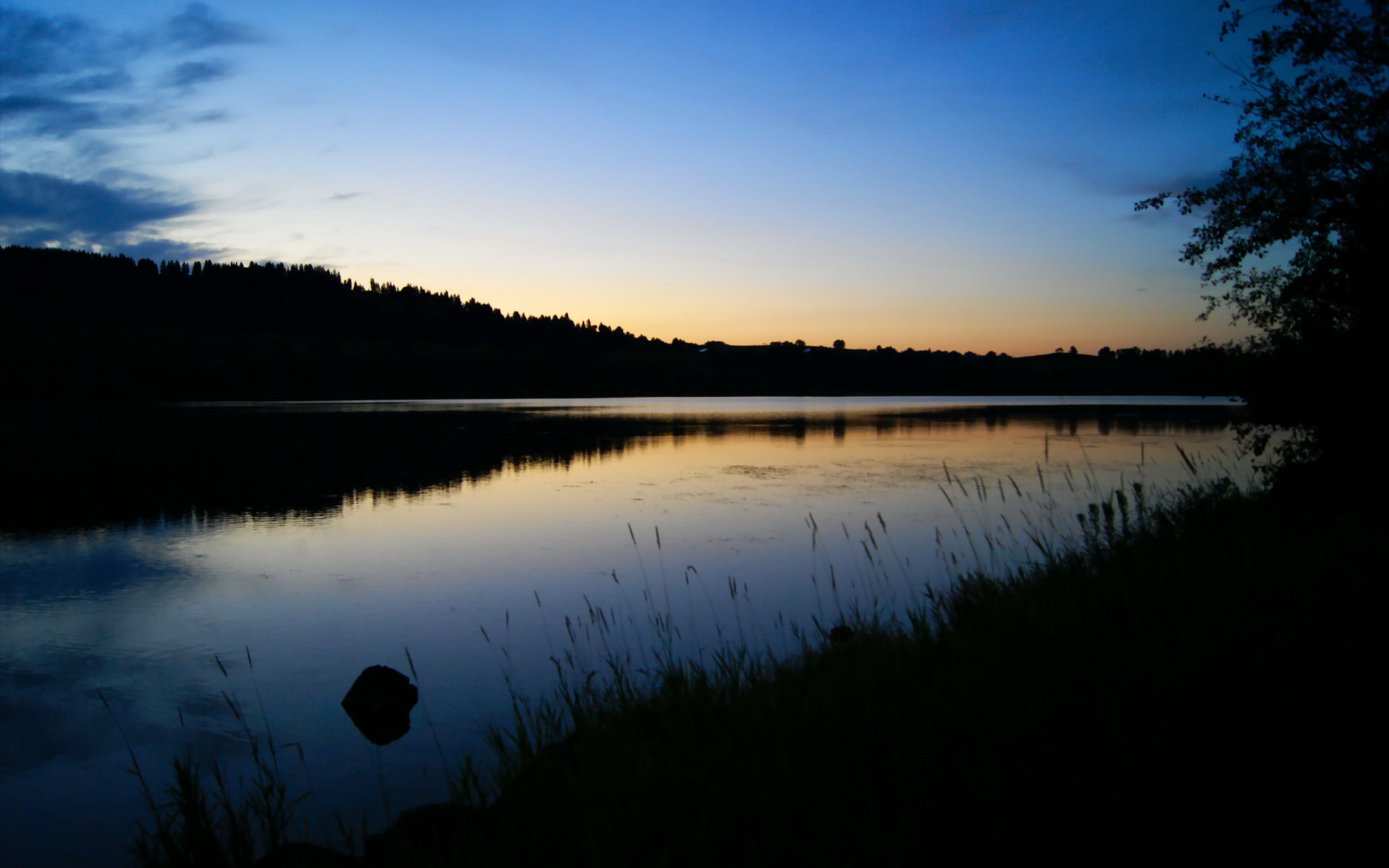 LeyuSports-曹缘男子3米跳板赛道上的精彩瞬间，曹缘男子10米跳台夺金